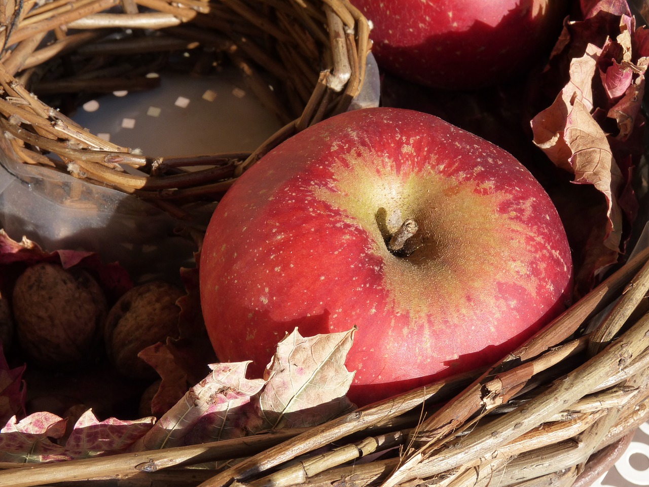 apple red autumn free photo