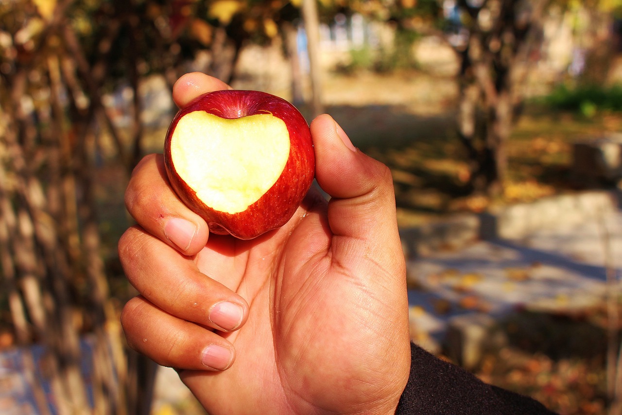 apple heart love free photo