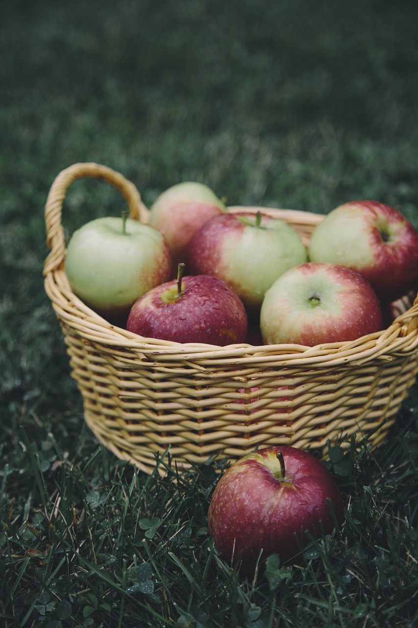 apple apples basket free photo