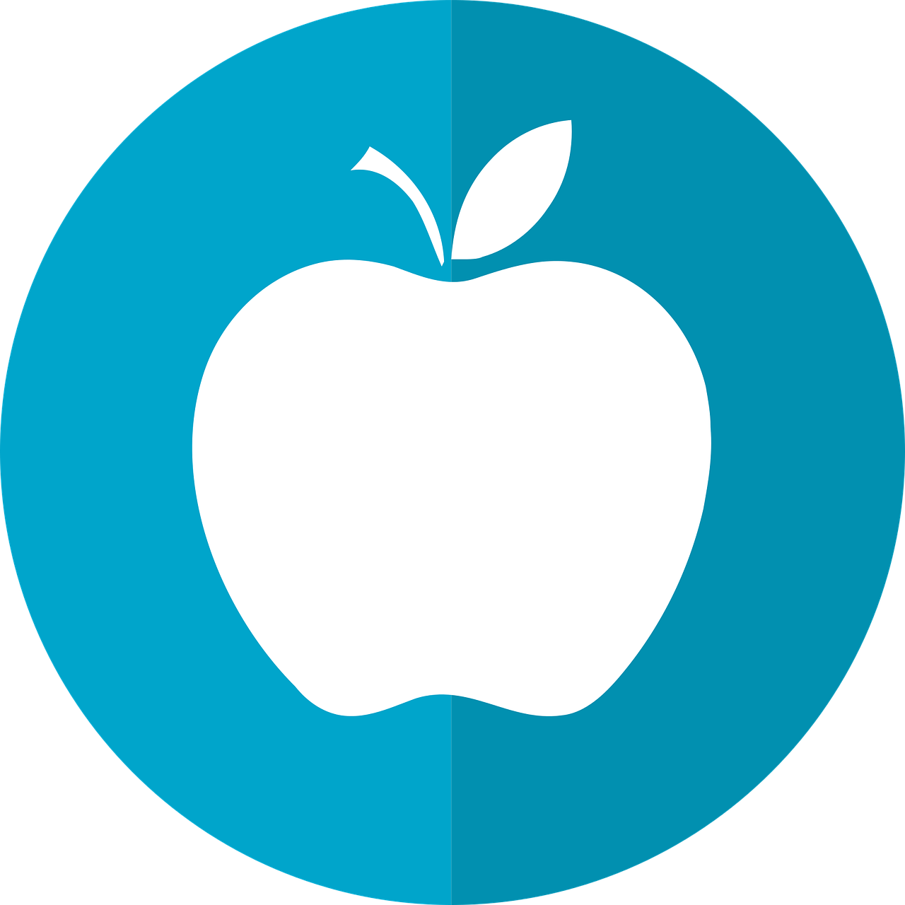 apple apple icon diet icon free photo