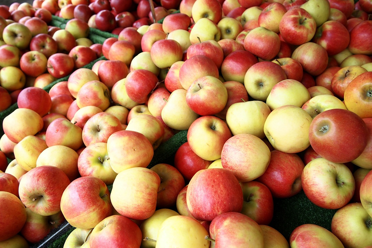 apple fruit ripe free photo
