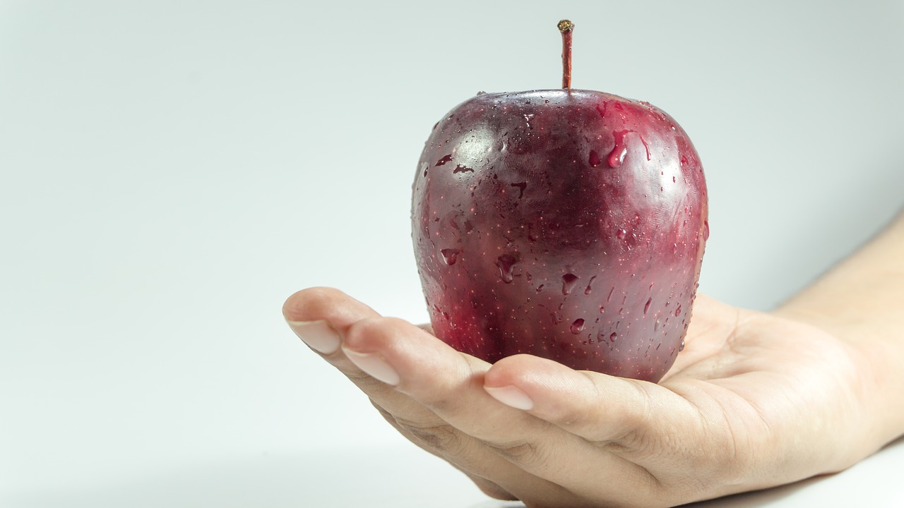 apple hand holding free photo