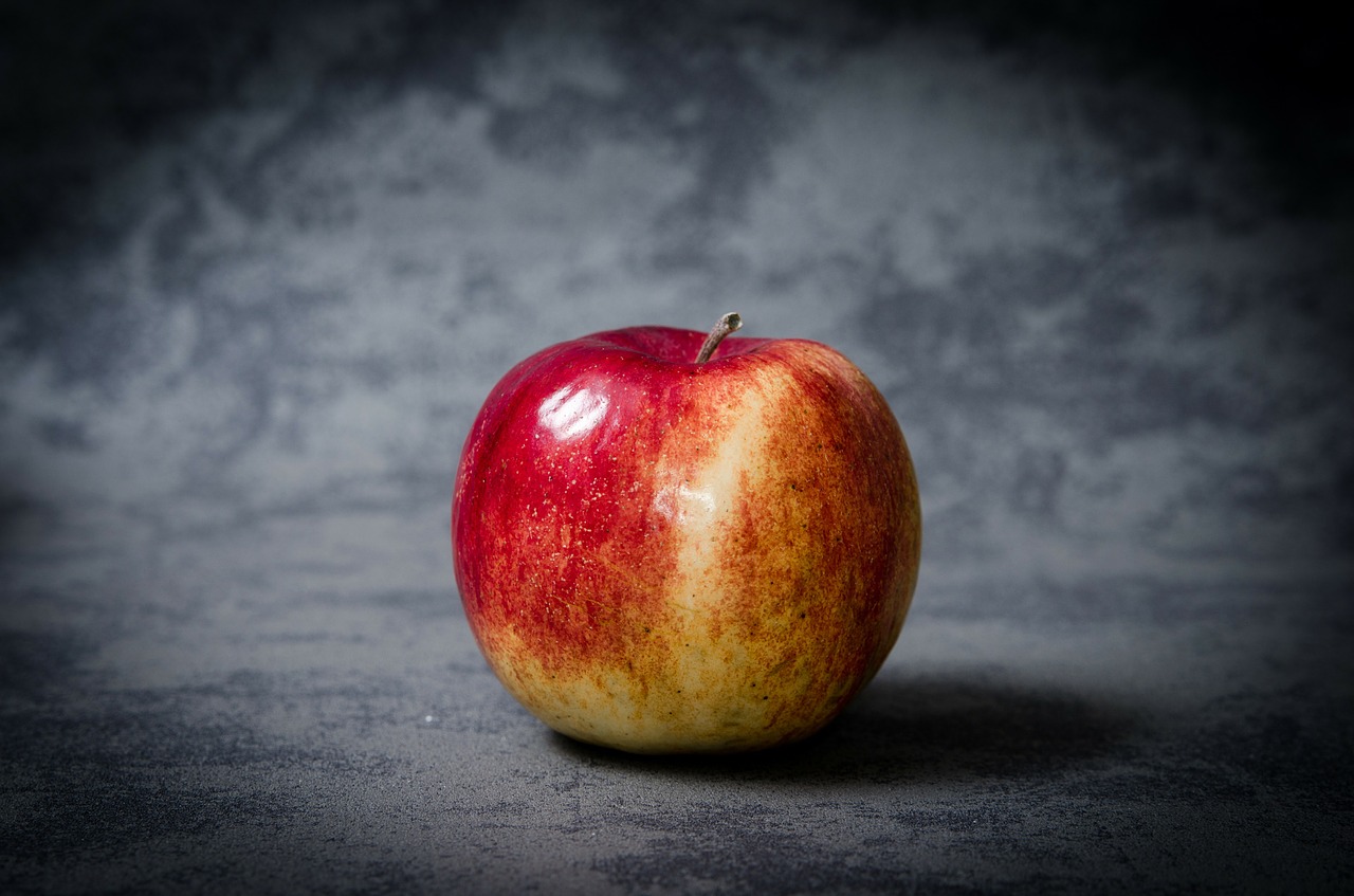 apple education school free photo