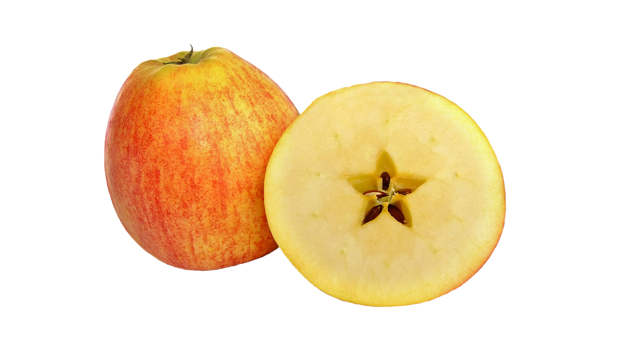 apple fruit pome fruit free photo