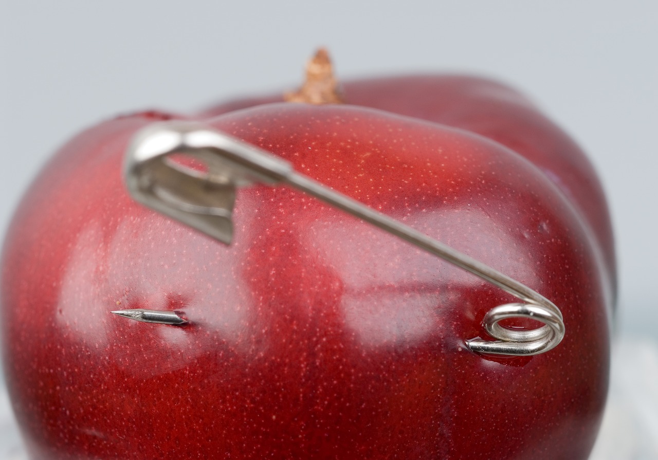 apple security safety pin free photo