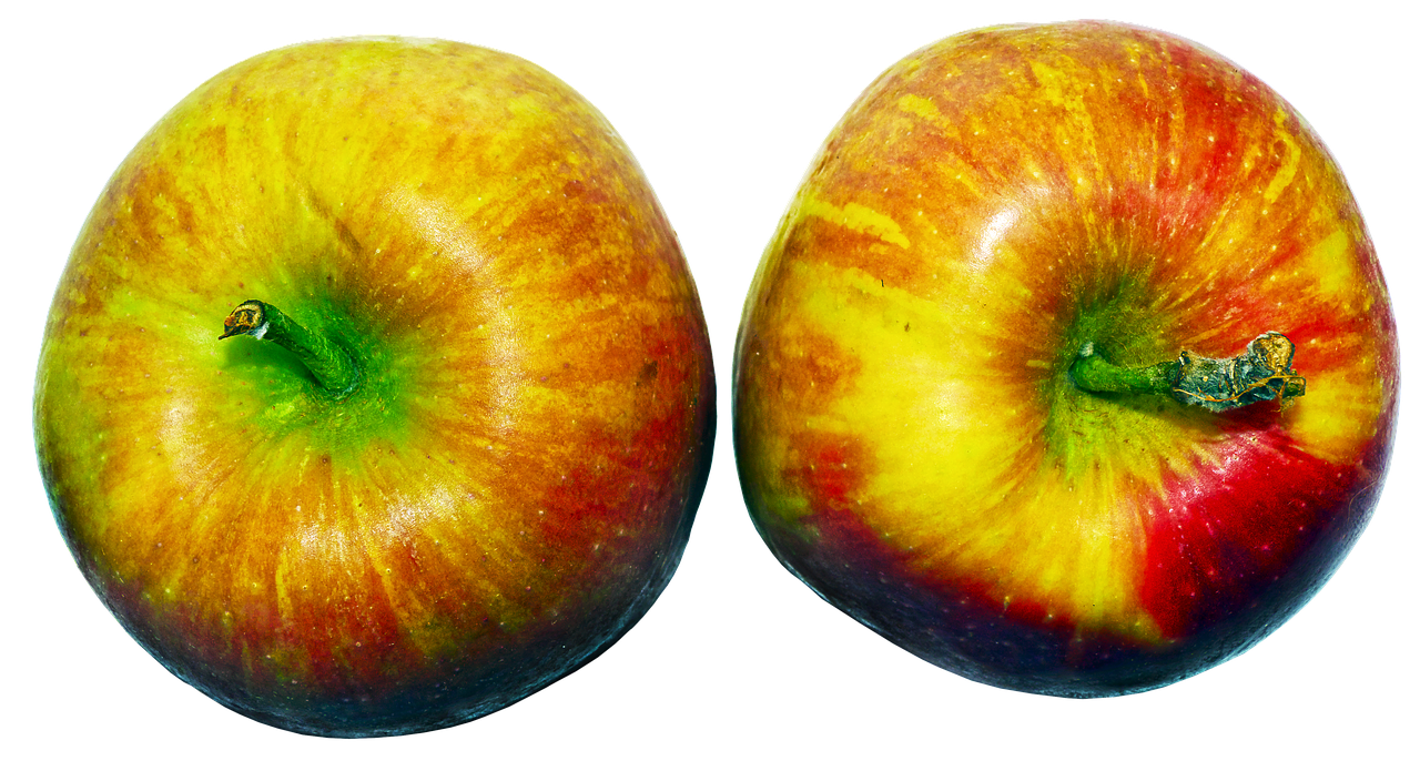 apple fruit pome fruit free photo