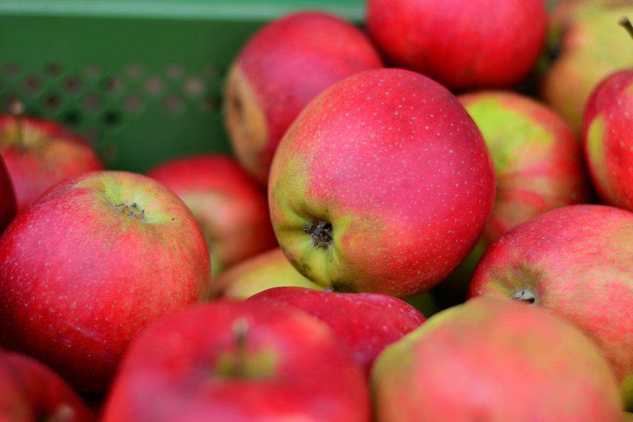 apple red apple fruit free photo