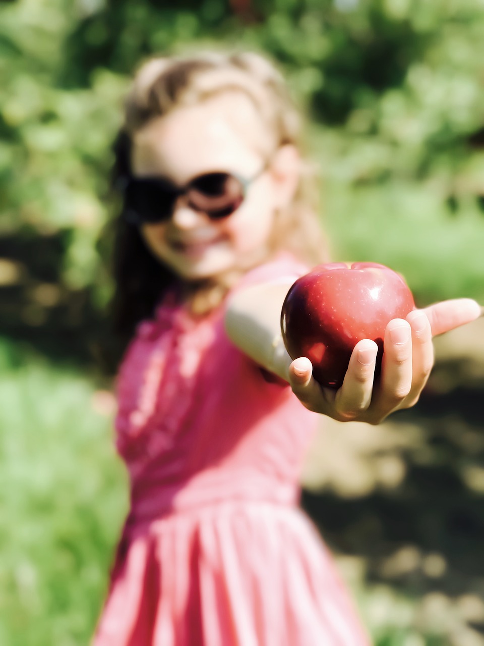 apple child orchard free photo