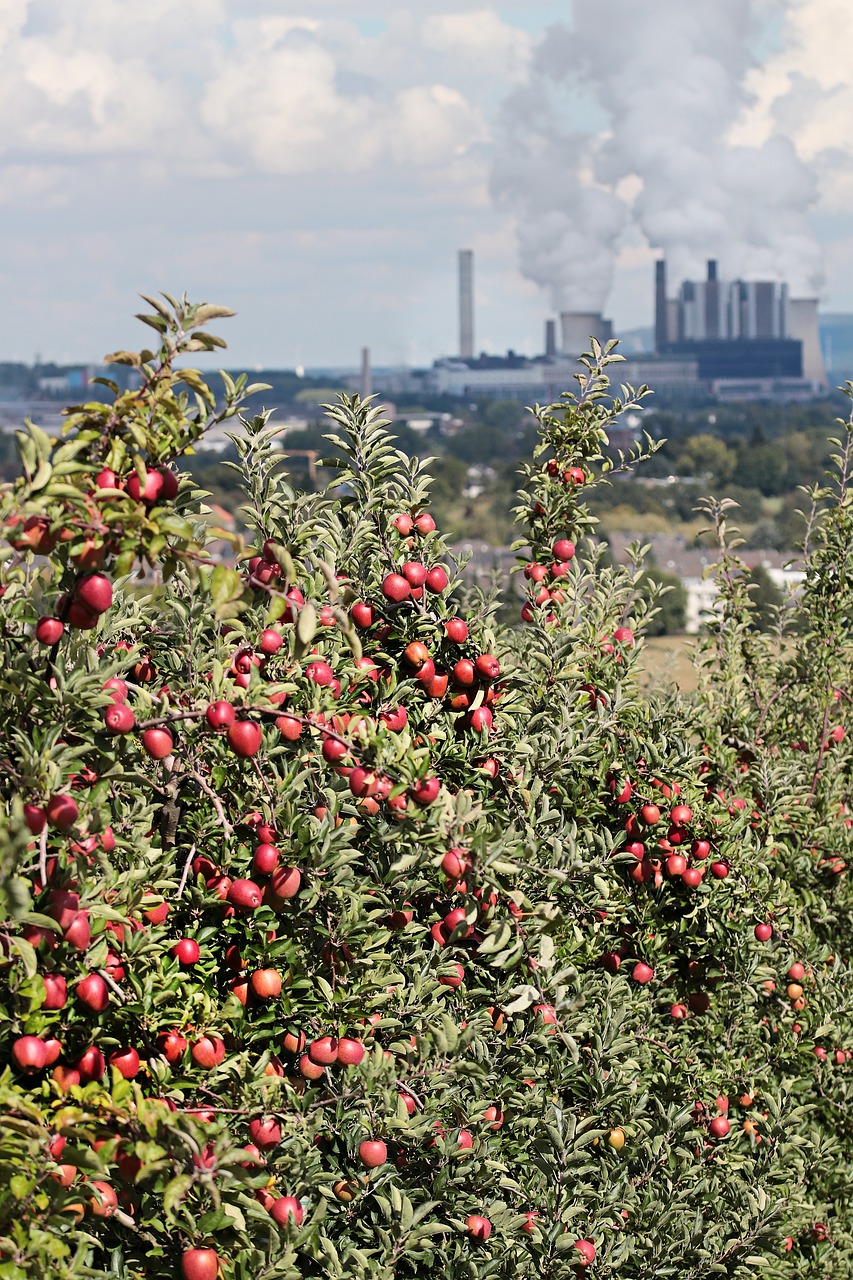 apple power plant coal fired power plant free photo
