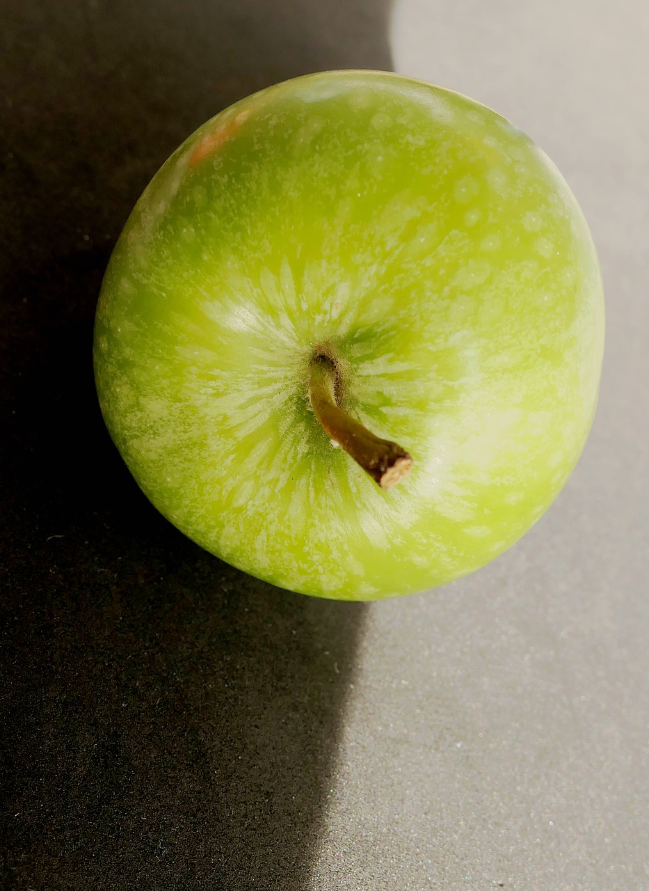 apple apfelernte apple stalk free photo