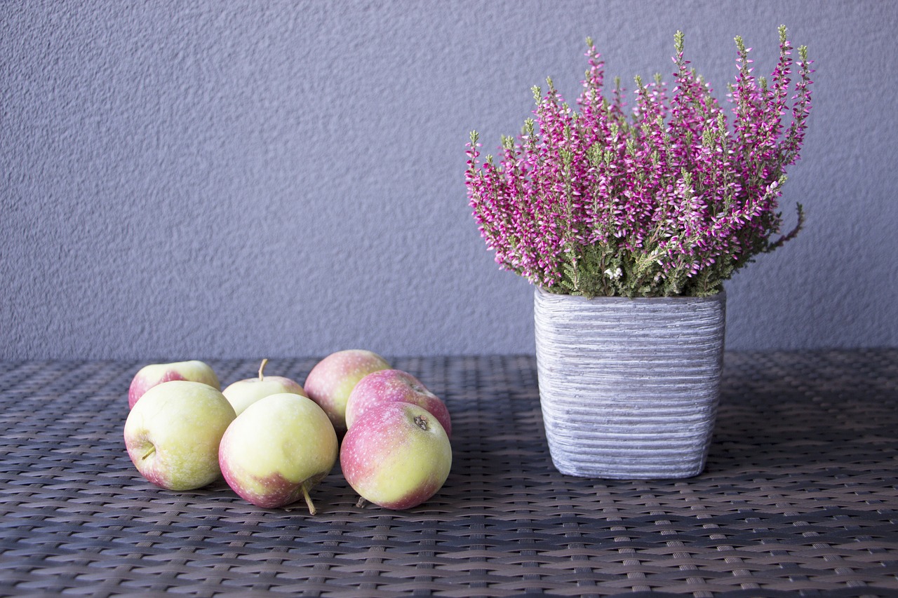 apple autumn flowers free photo