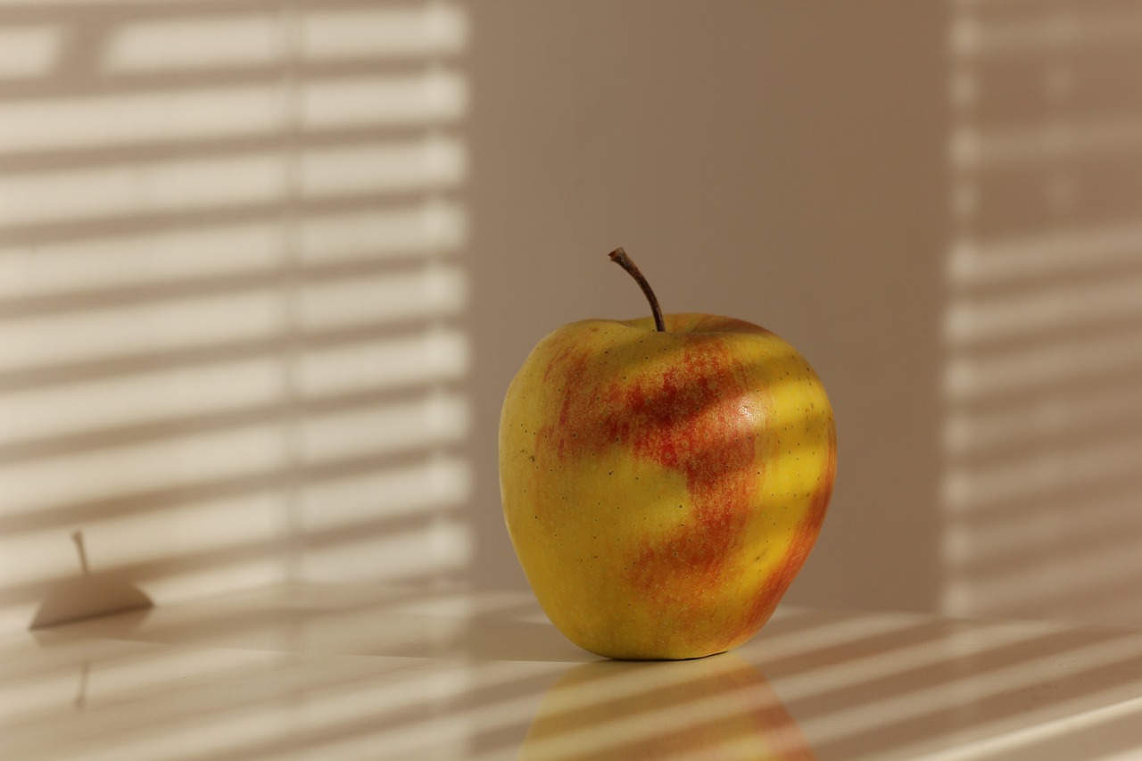 apple shadow apples free photo
