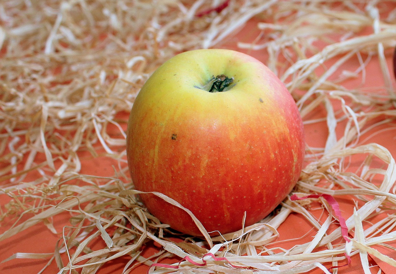 apple fruit healthy food free photo