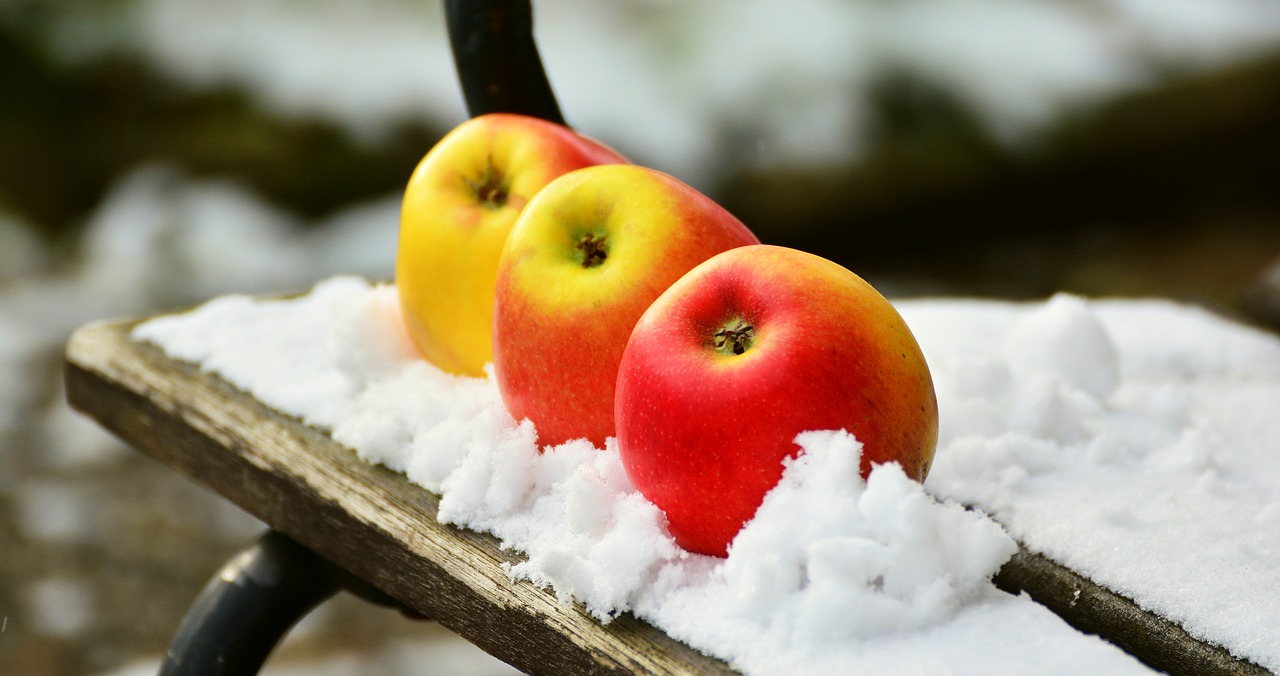 apple snow winter free photo