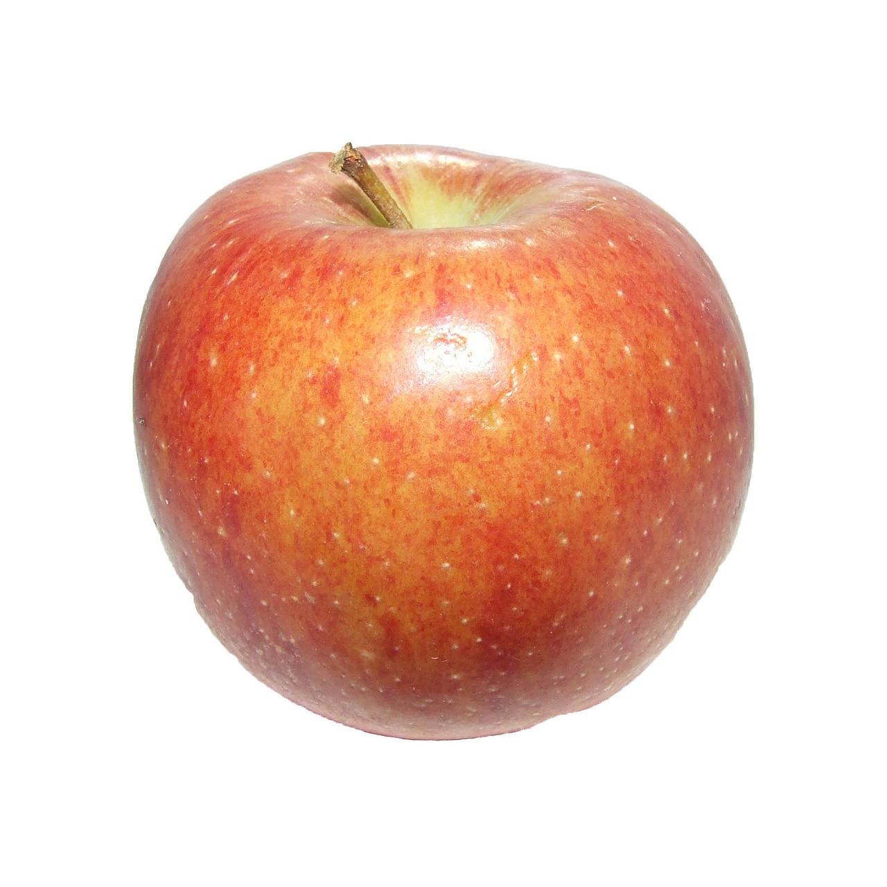 apple red fruit free photo