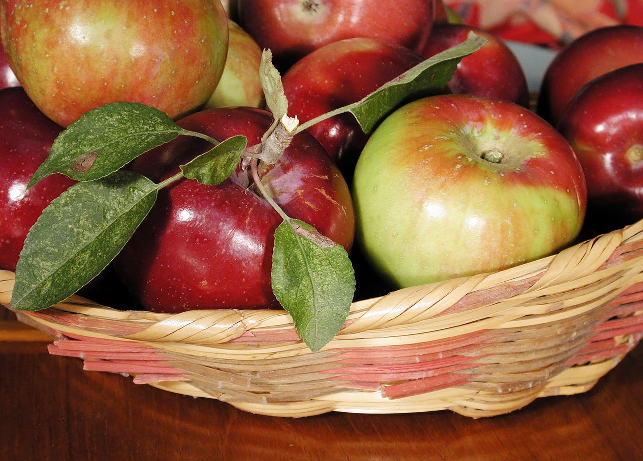 apple fruit food free photo