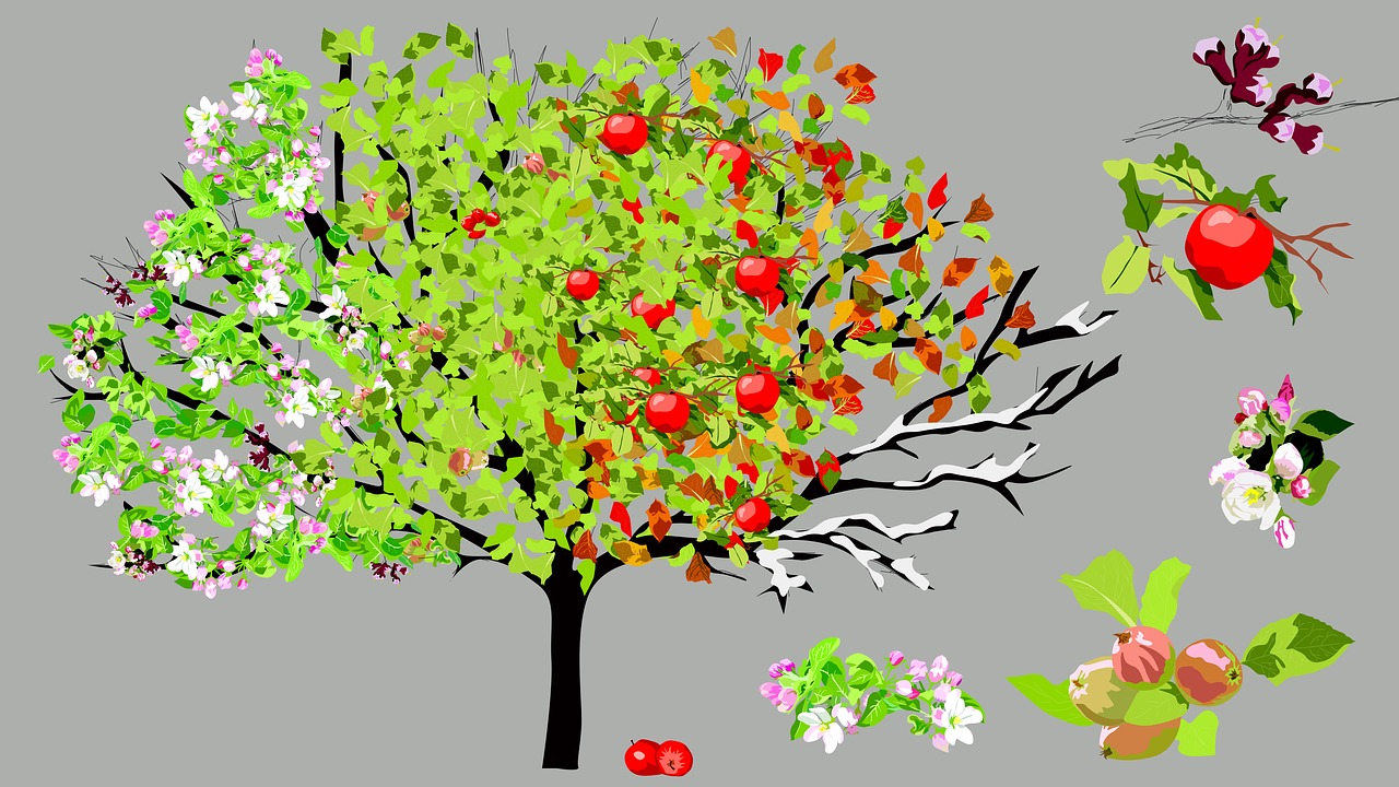 apple  apple tree  seasons free photo