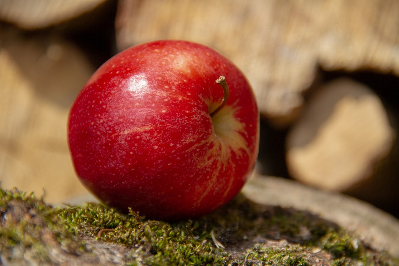 apple  fruit  red free photo