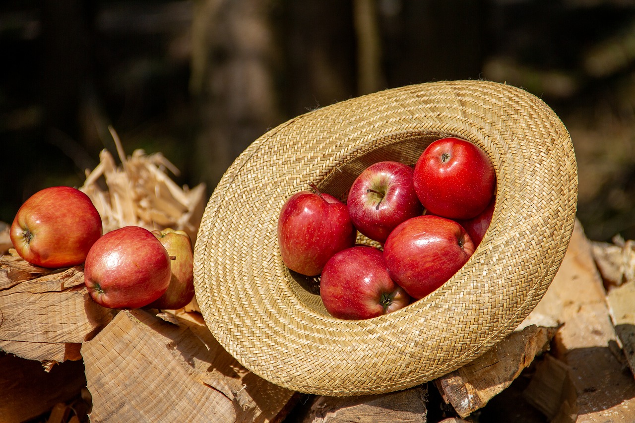 apple  fruit  food free photo