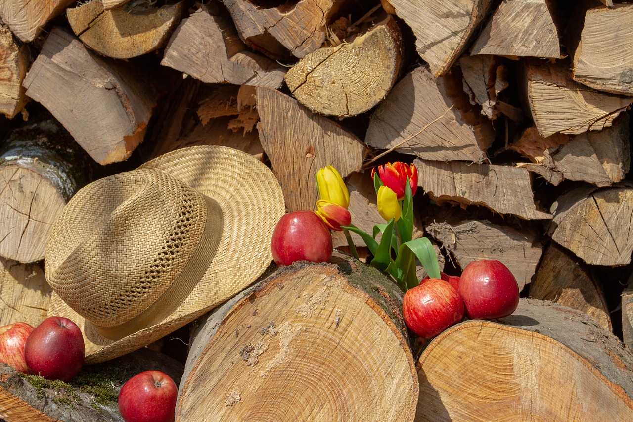 apple  wood  hat free photo