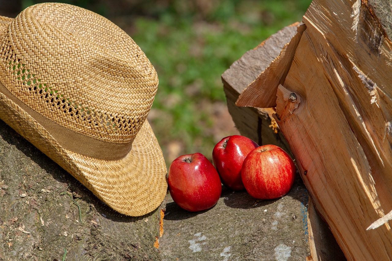 apple  fruit  healthy free photo