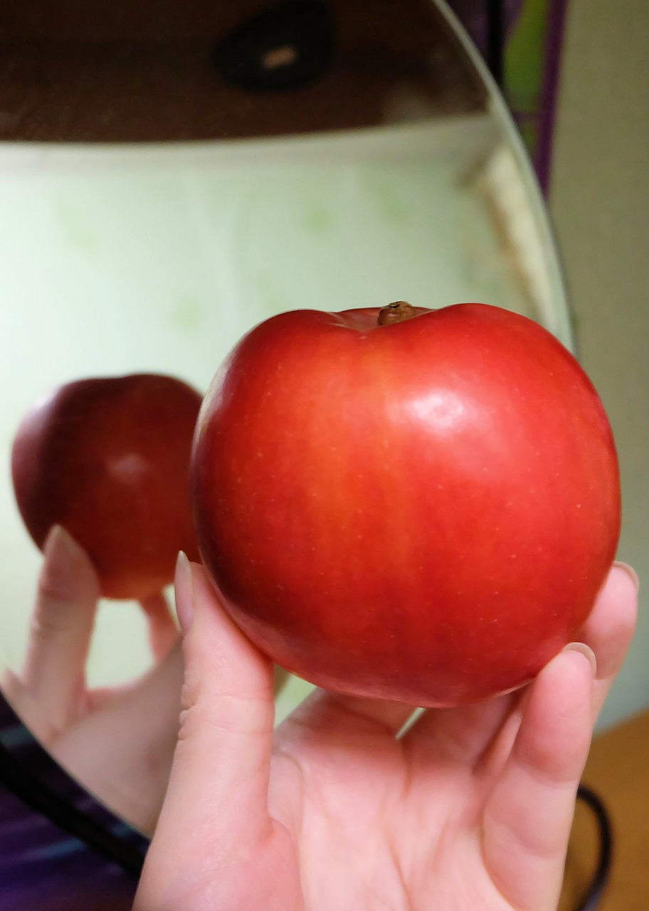 apple  reflection  the subject at hand free photo