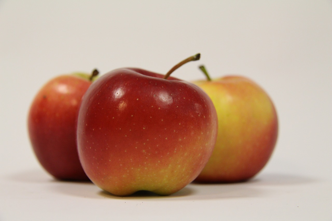 apple  fruit  eating free photo