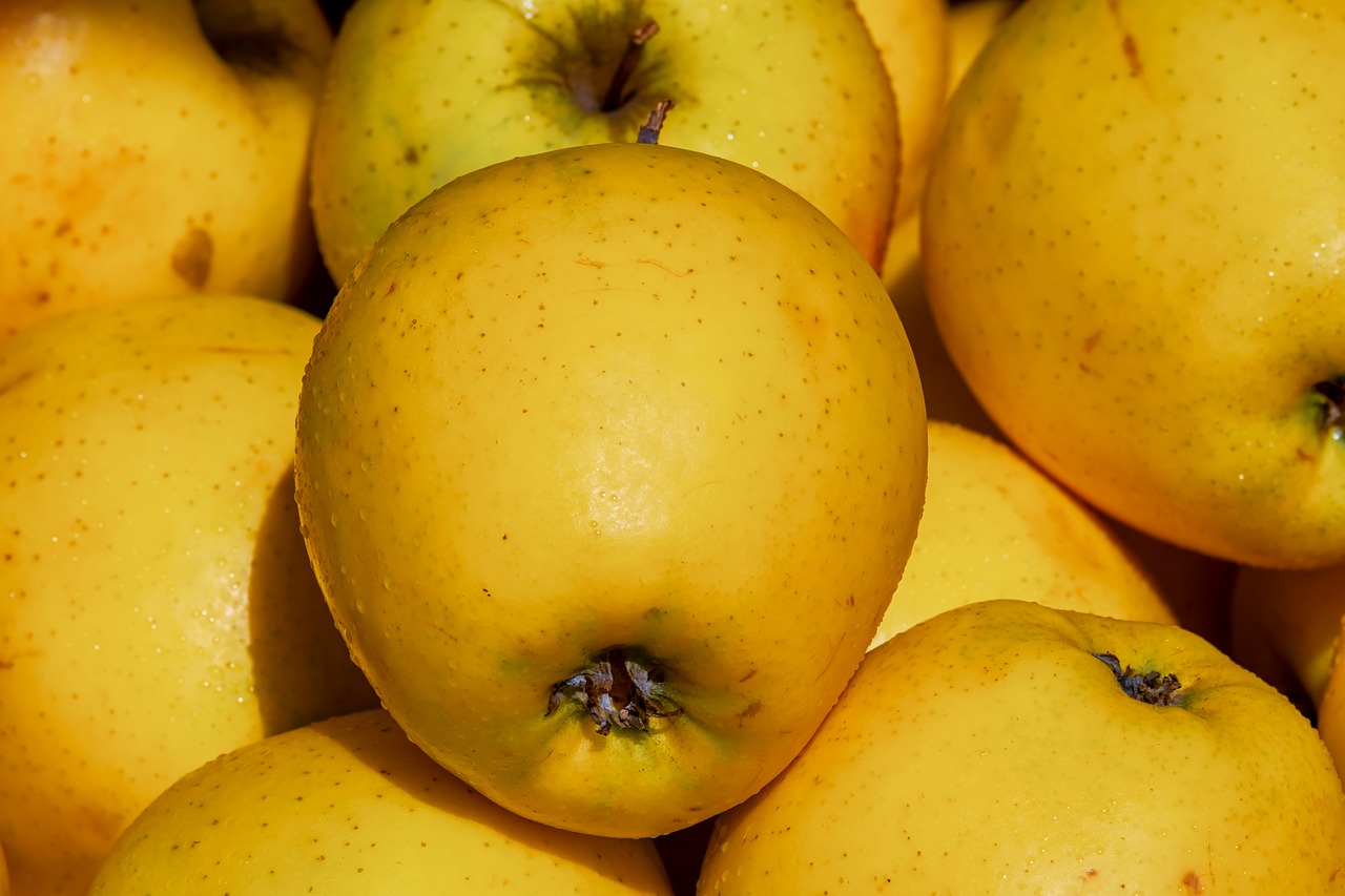 apple  golden delicious  fruit free photo