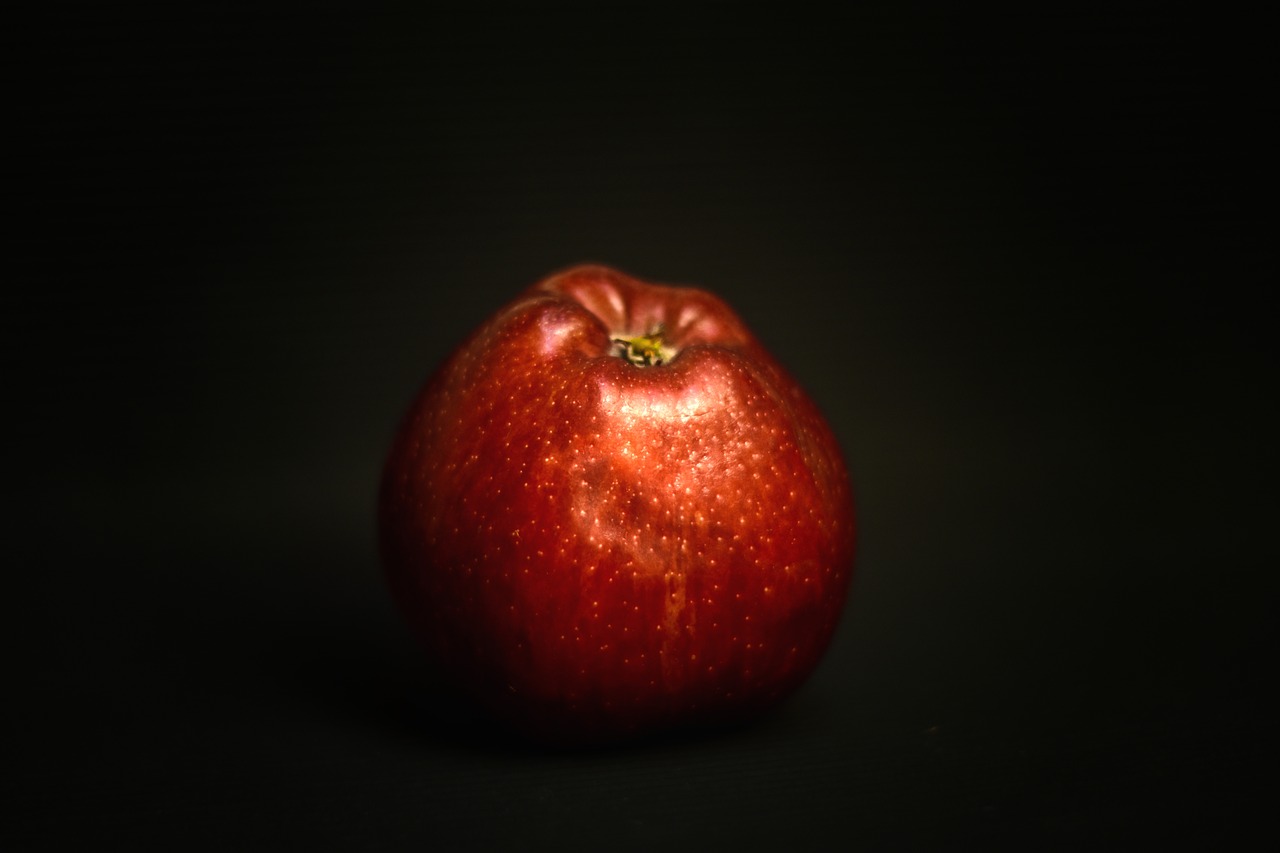 apple  fruit  vintage free photo