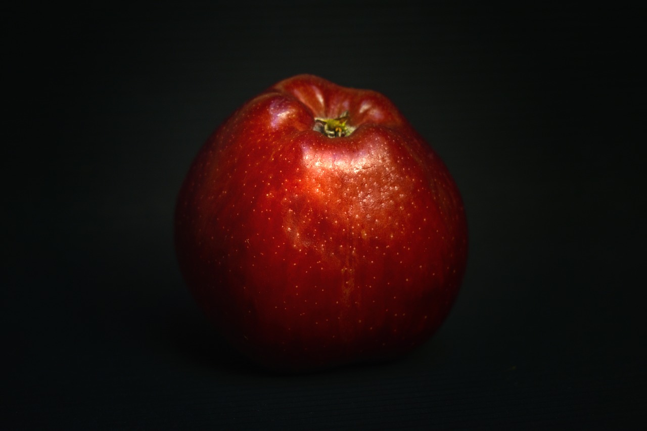 apple  fruit  vintage free photo