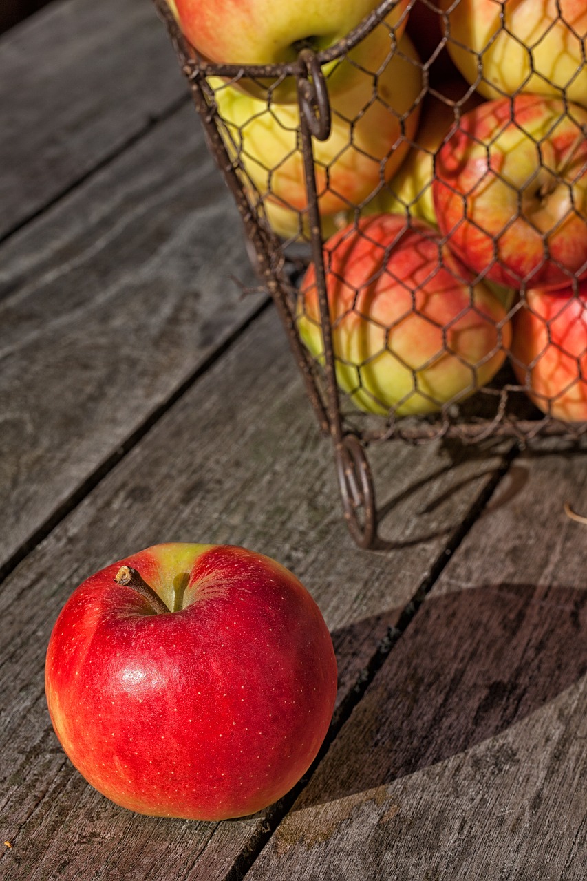 apple  harvest  fruit free photo