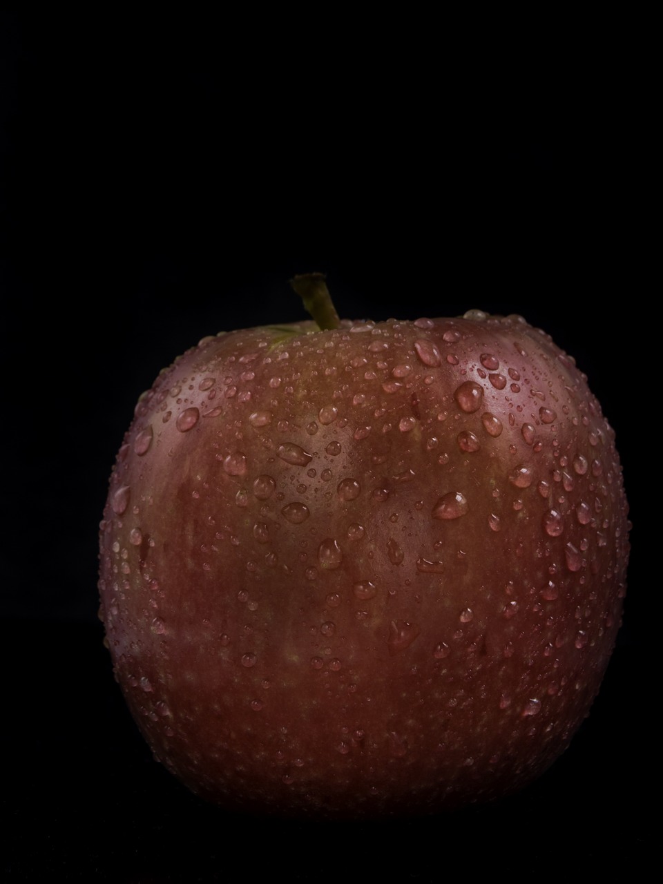 apple  food  fruit free photo