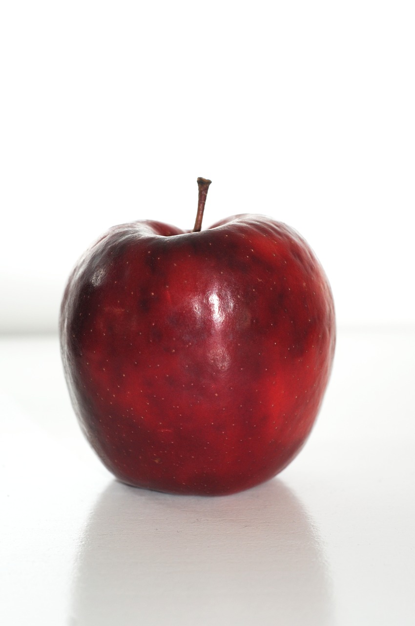 apple  pome fruit  fruit free photo