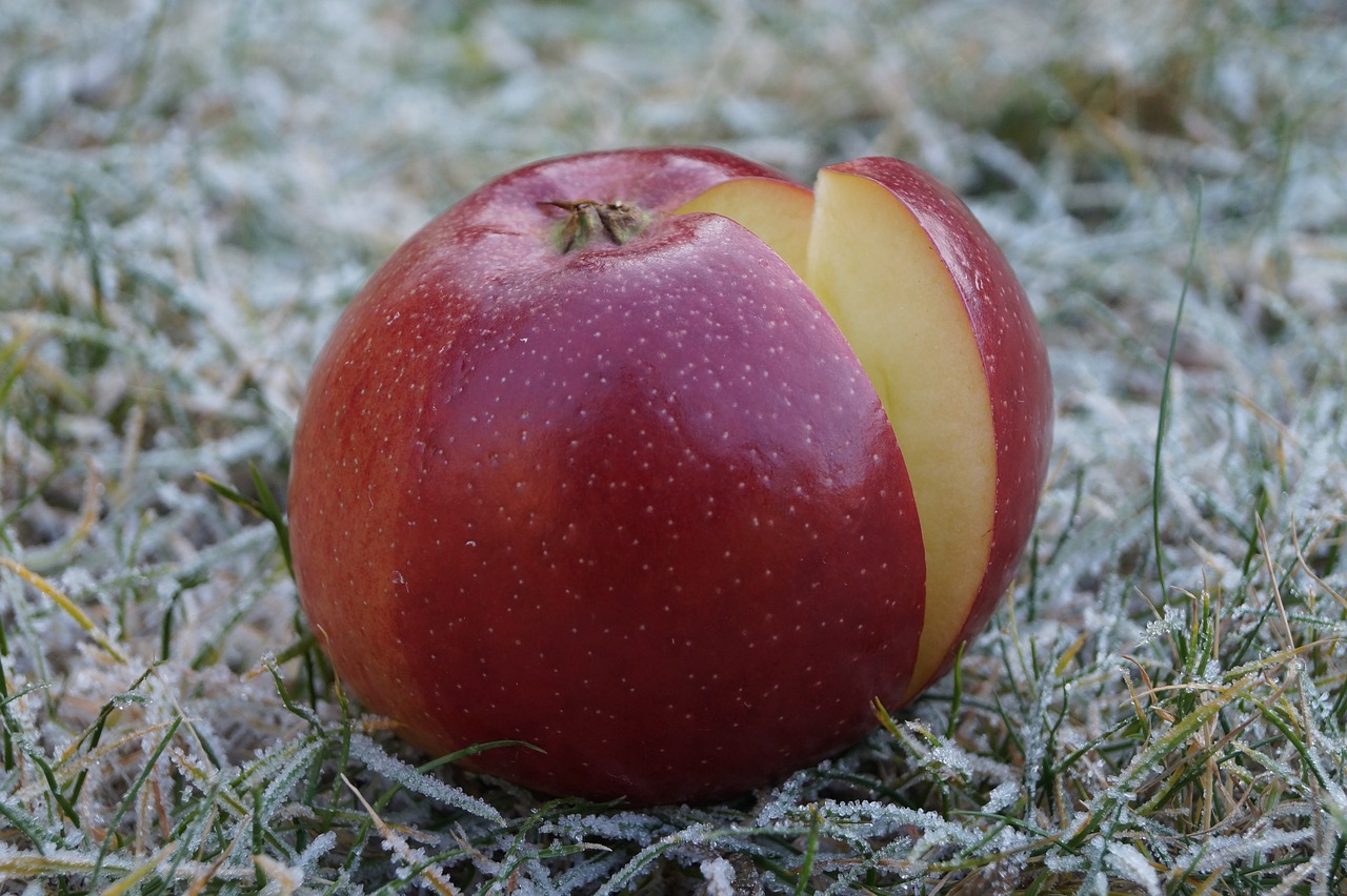 Зимние яблоки огромные