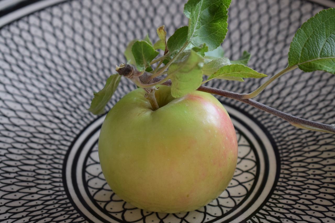 apple  swedish  fruit free photo