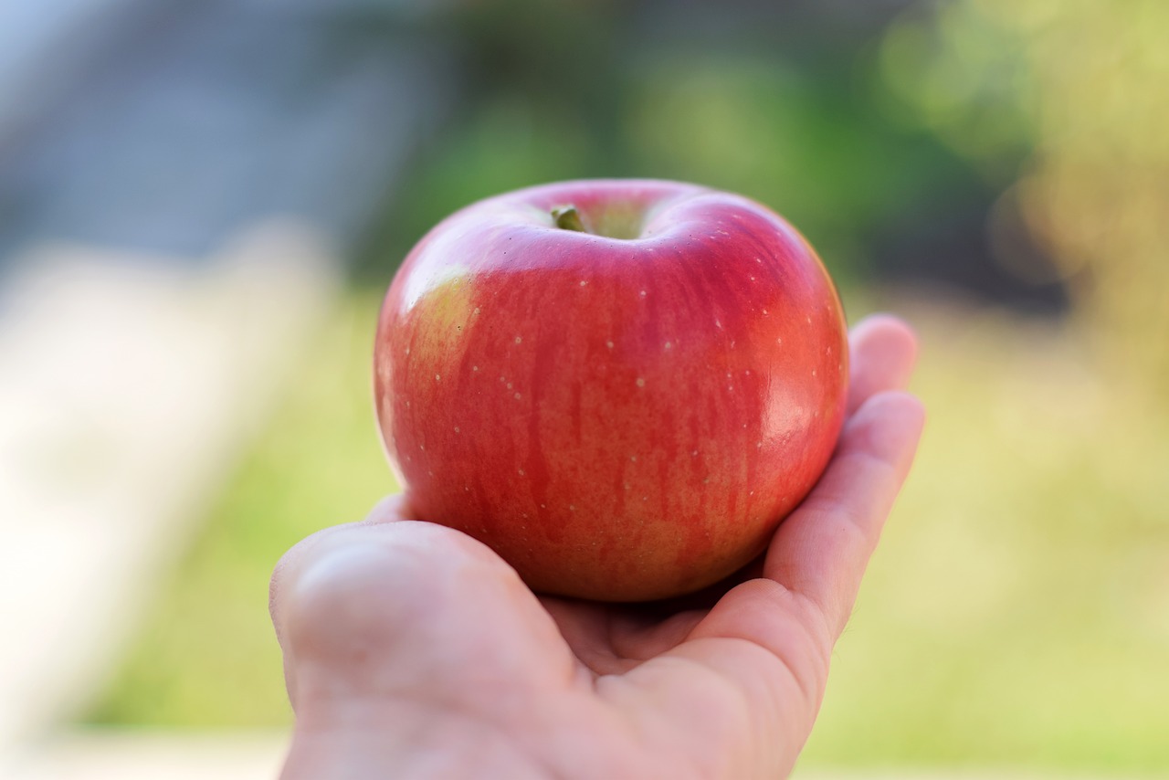 apple  red apple  juicy free photo