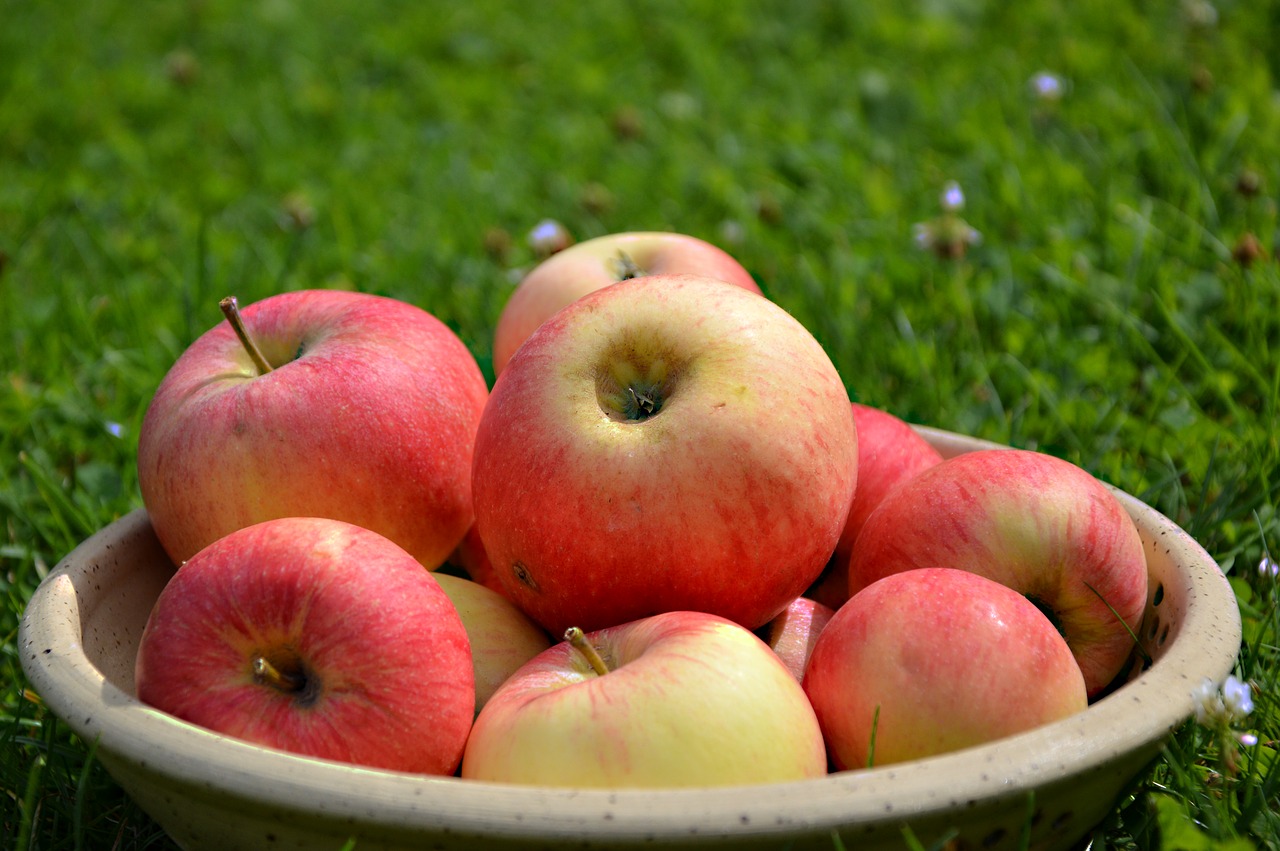 apple  fruit  fruit bowl free photo