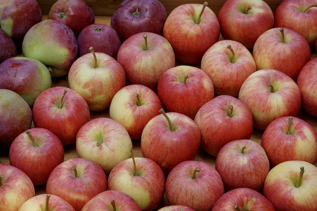 apple  fruits  fruit free photo