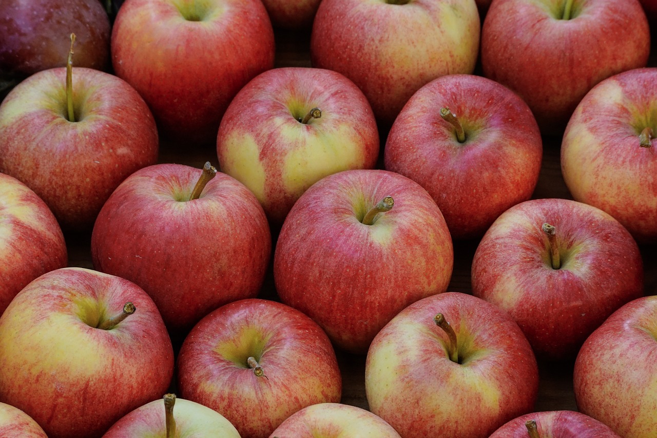 apple  fruits  fruit free photo