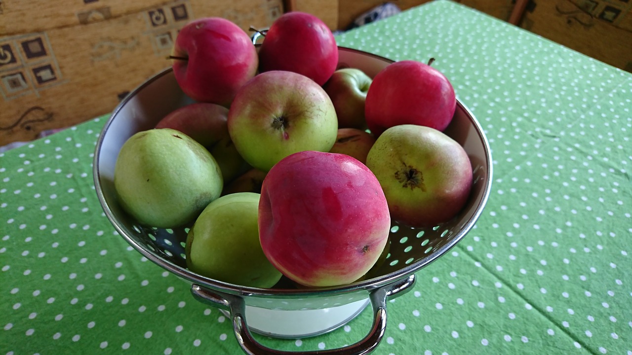 apple  fruit  summer free photo