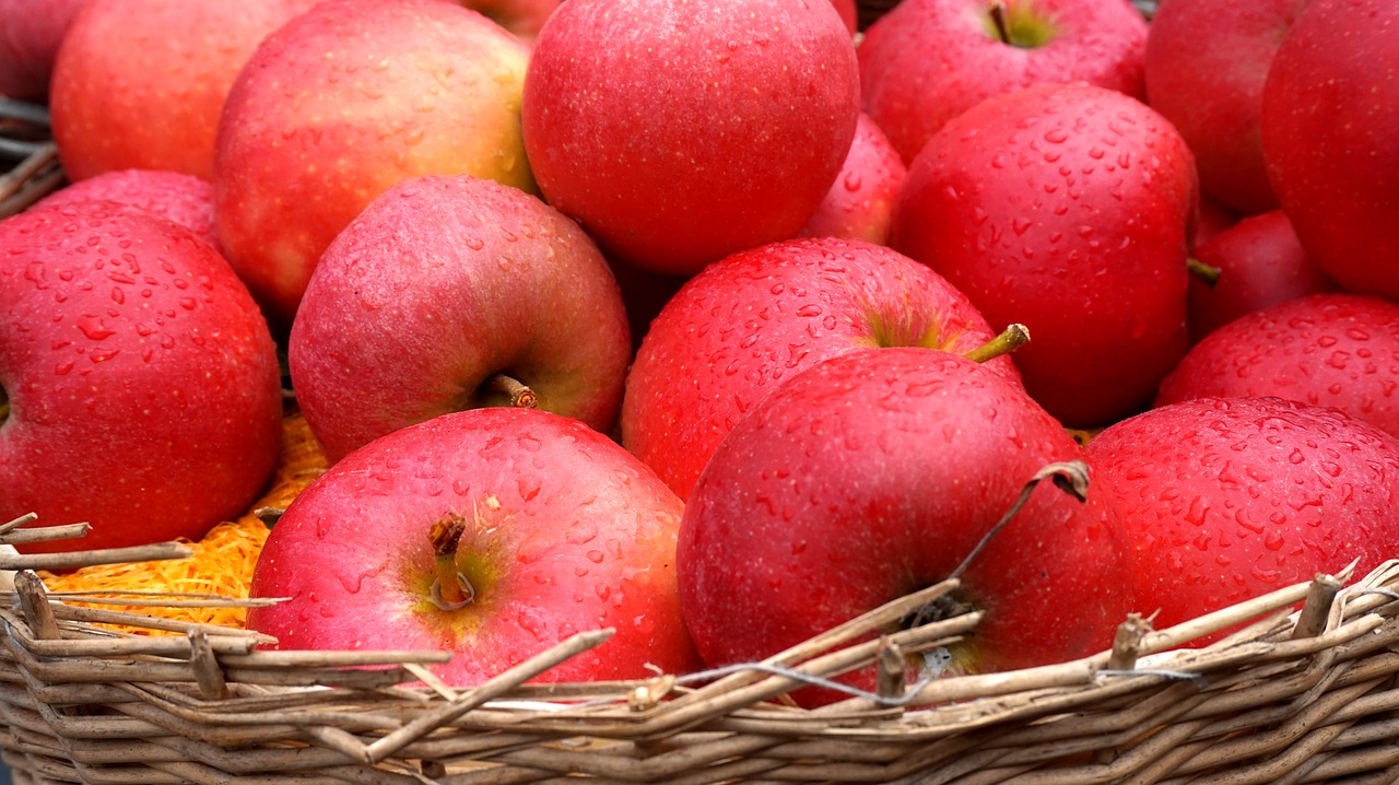 apple  red  fruit free photo