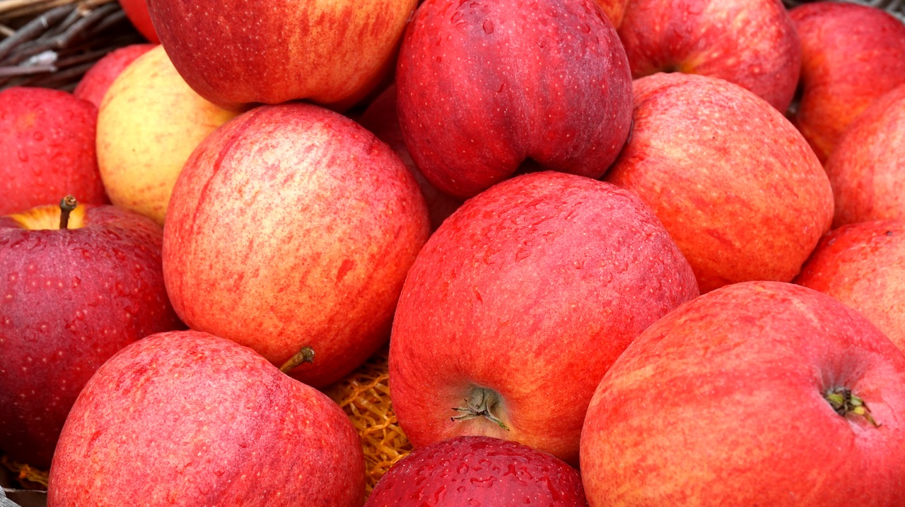 apple  red  ripe free photo