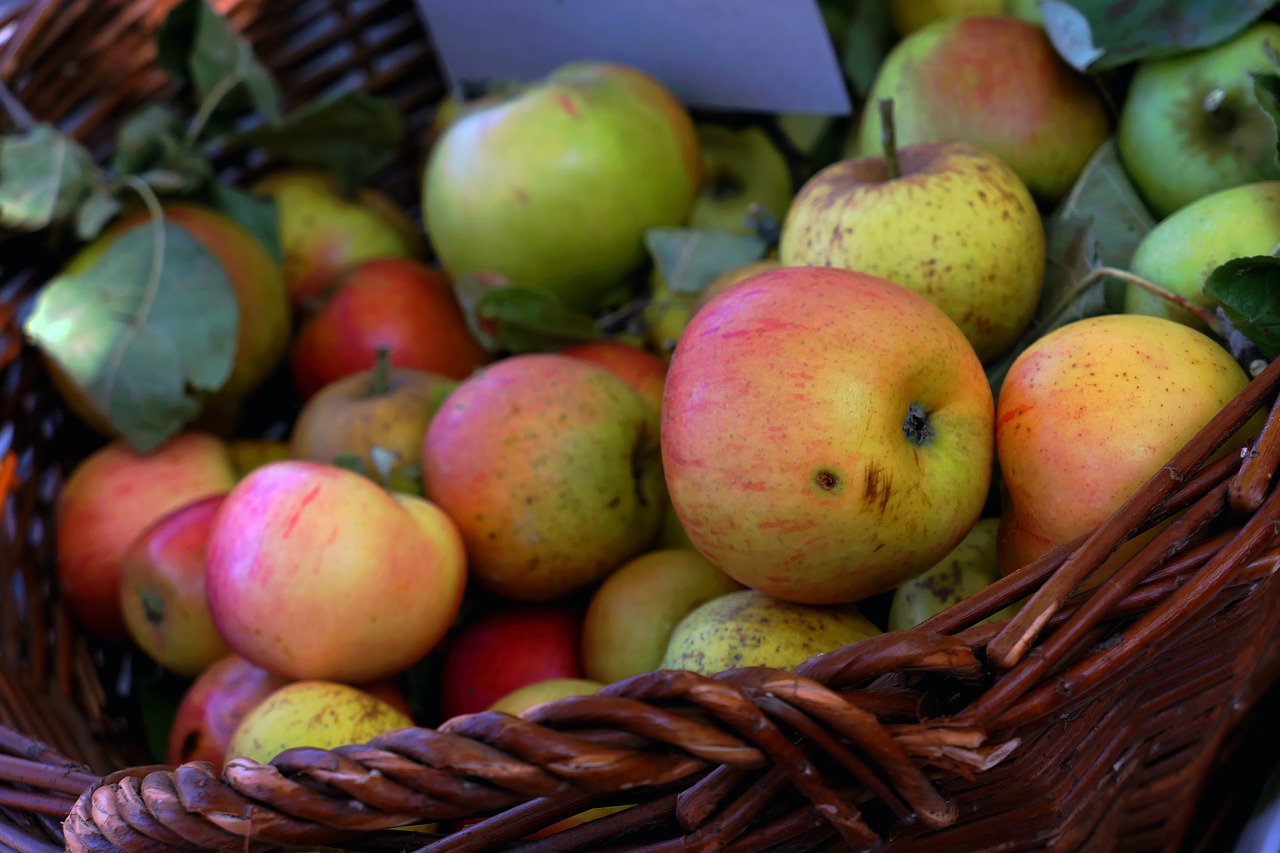 apple  apple juice  autumn free photo