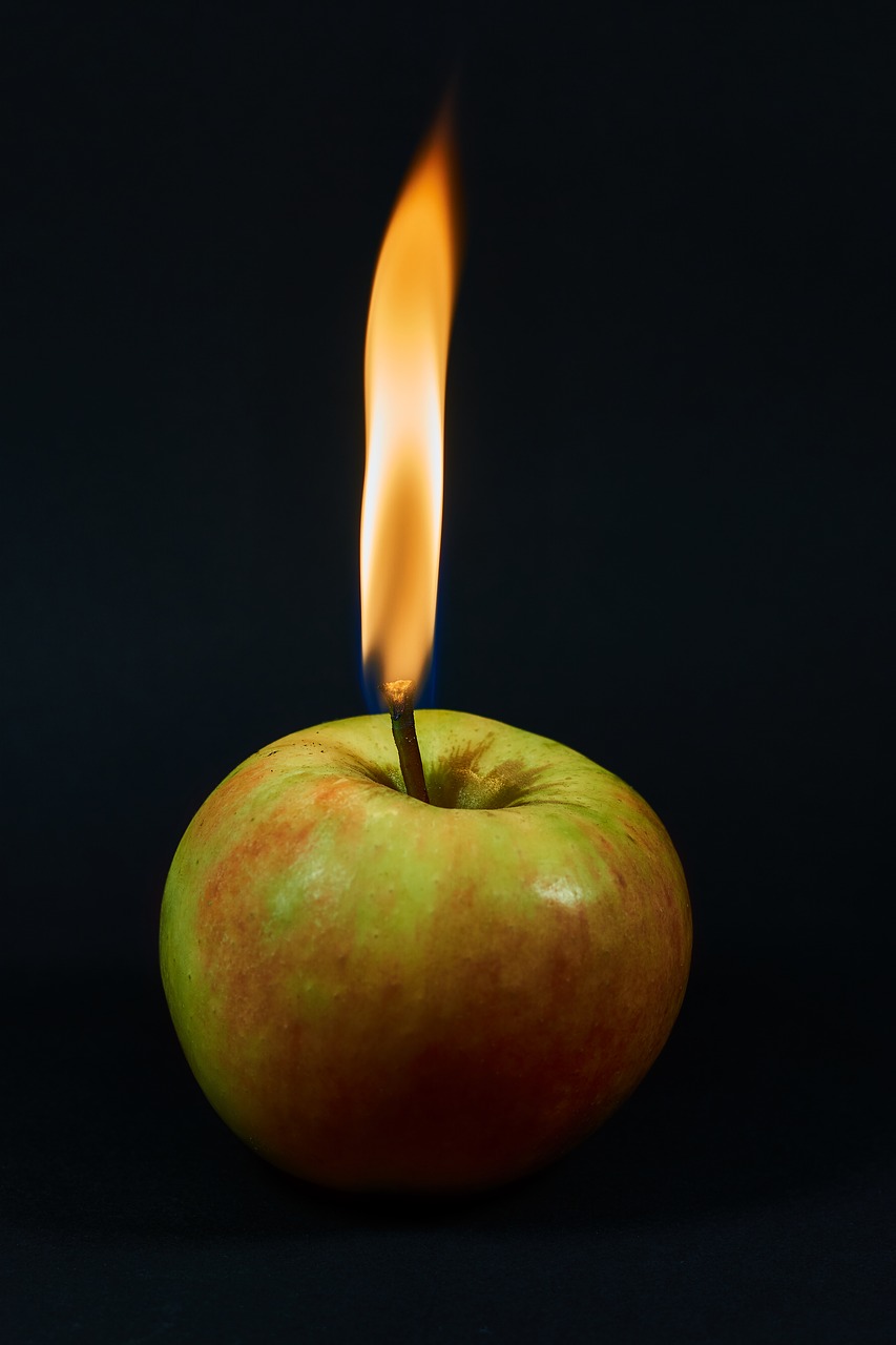 apple  burn  apple brand free photo