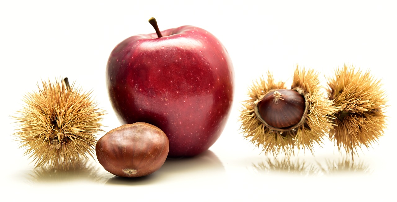 apple  chestnut  eat free photo