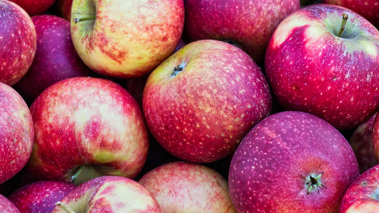 apple  healthy  harvest free photo