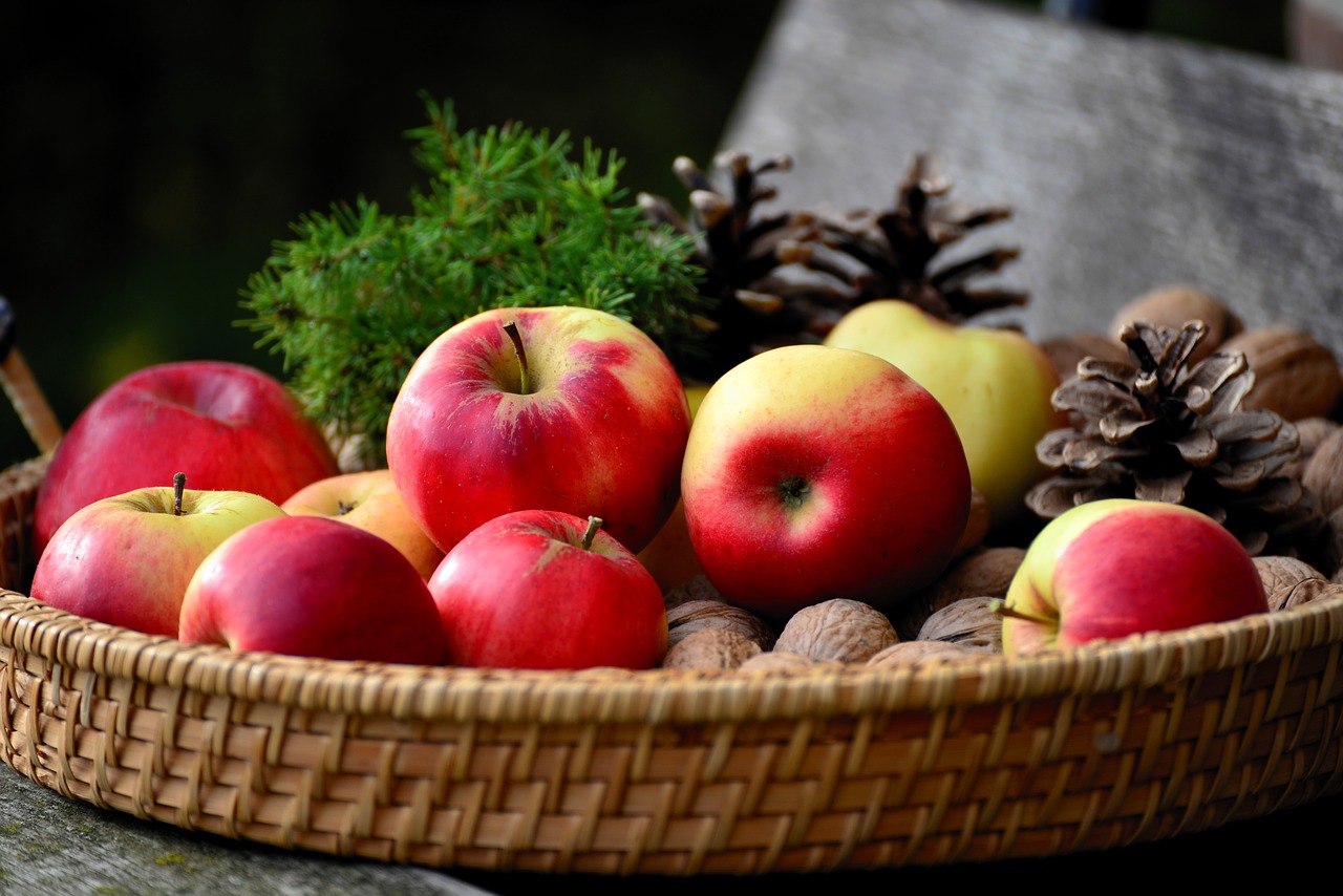 apple  walnuts  fruit basket free photo