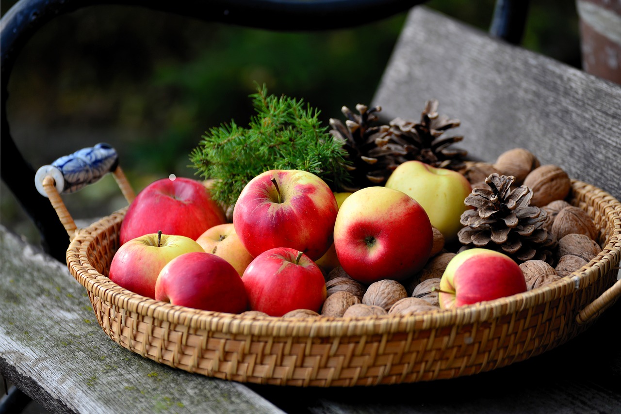 apple  walnuts  fruit basket free photo