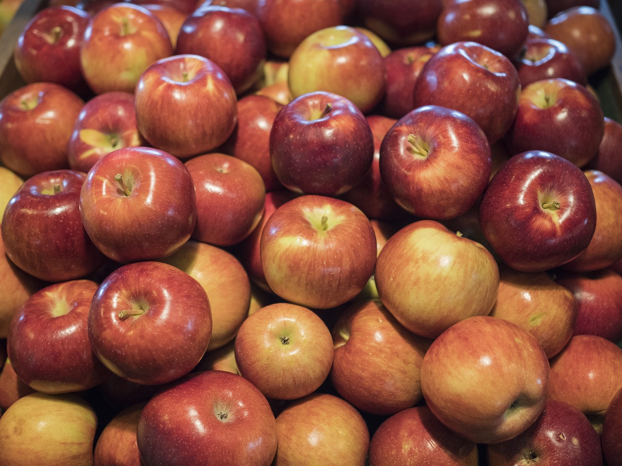 apple  fruit  food free photo