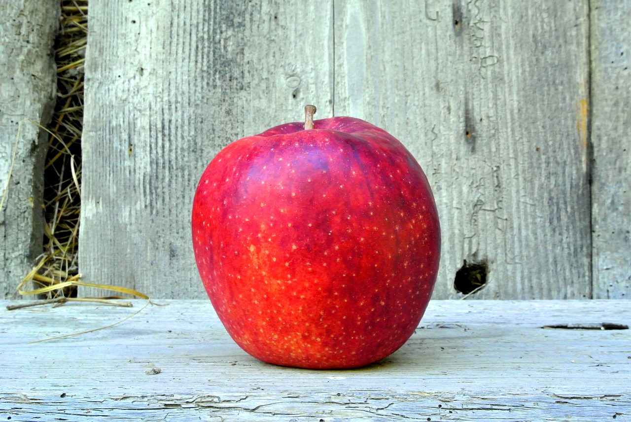 apple  red  ripe free photo